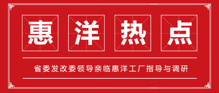 省委發改委領導親臨惠洋工廠指導與調研